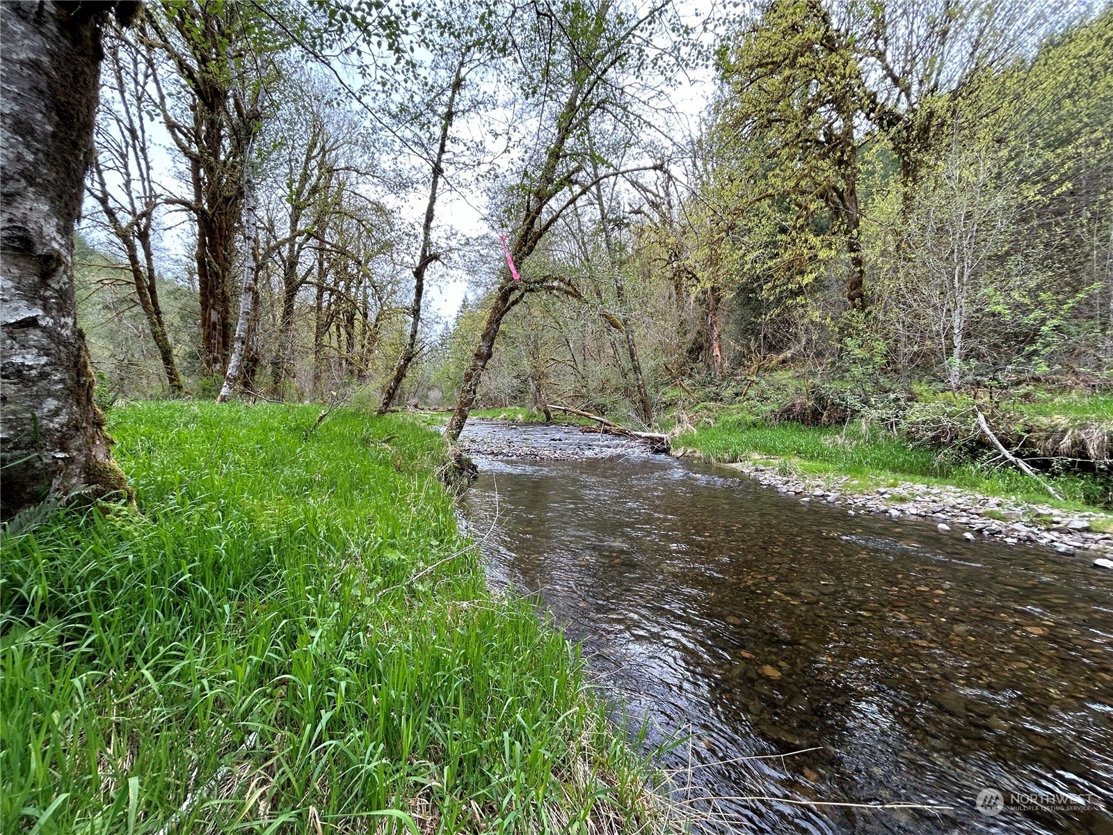 Property Photo:  0 Lot 1 Abernathy Creek Road  WA 98632 