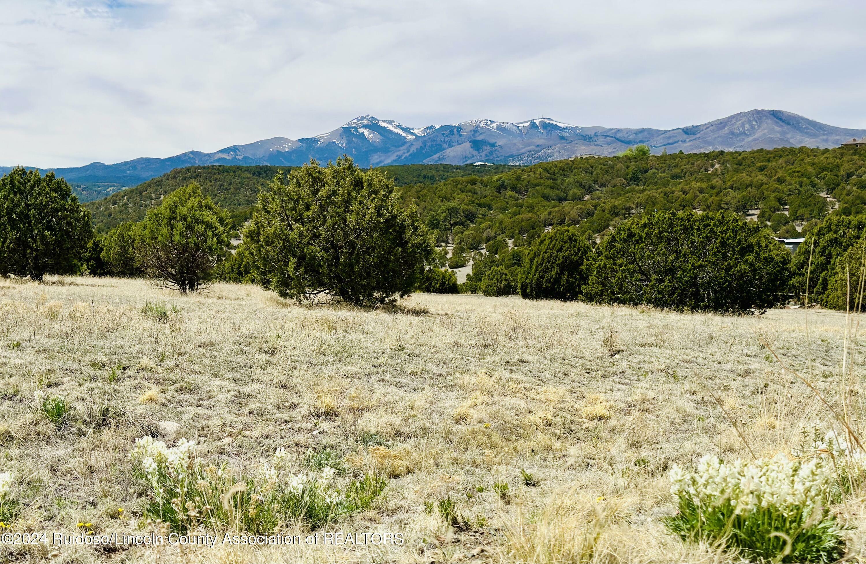 121 Pojoaque Loop  Alto NM 88312 photo