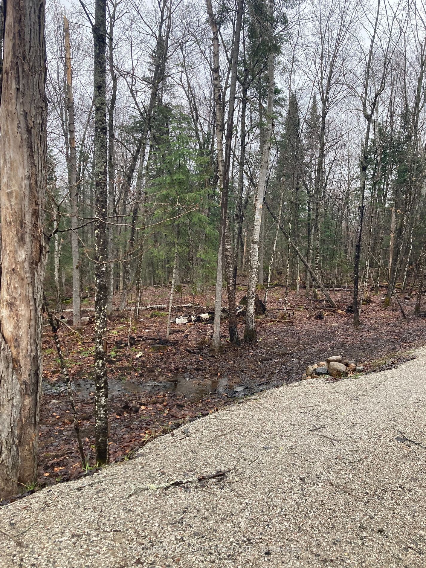 Property Photo:  66 Lake Haven Dr  ON P0A 1M0 