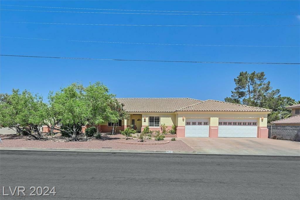 Property Photo:  380 East Desert Rose Drive  NV 89015 