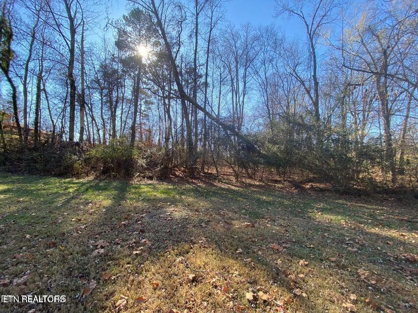 Bowman Bend Rd Lot 79  Harriman TN 37748 photo