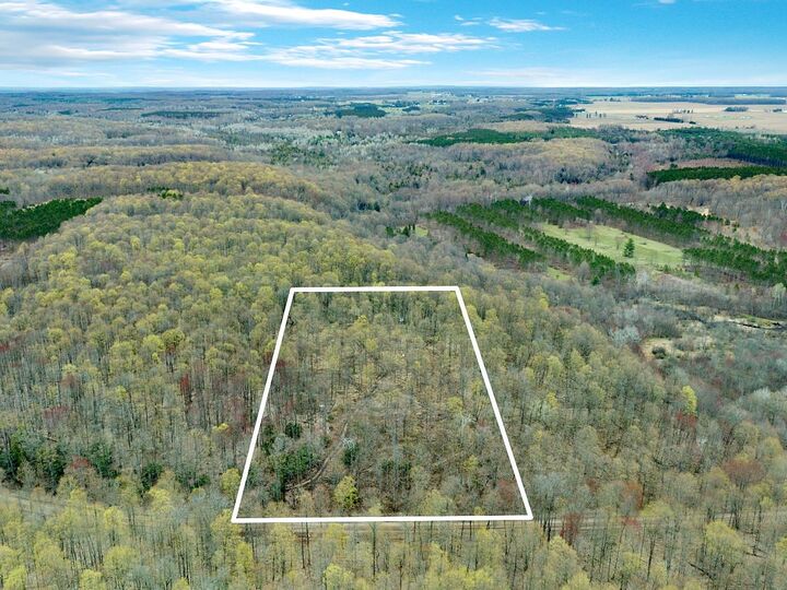 V/L N 8  Mesick MI 49668 photo