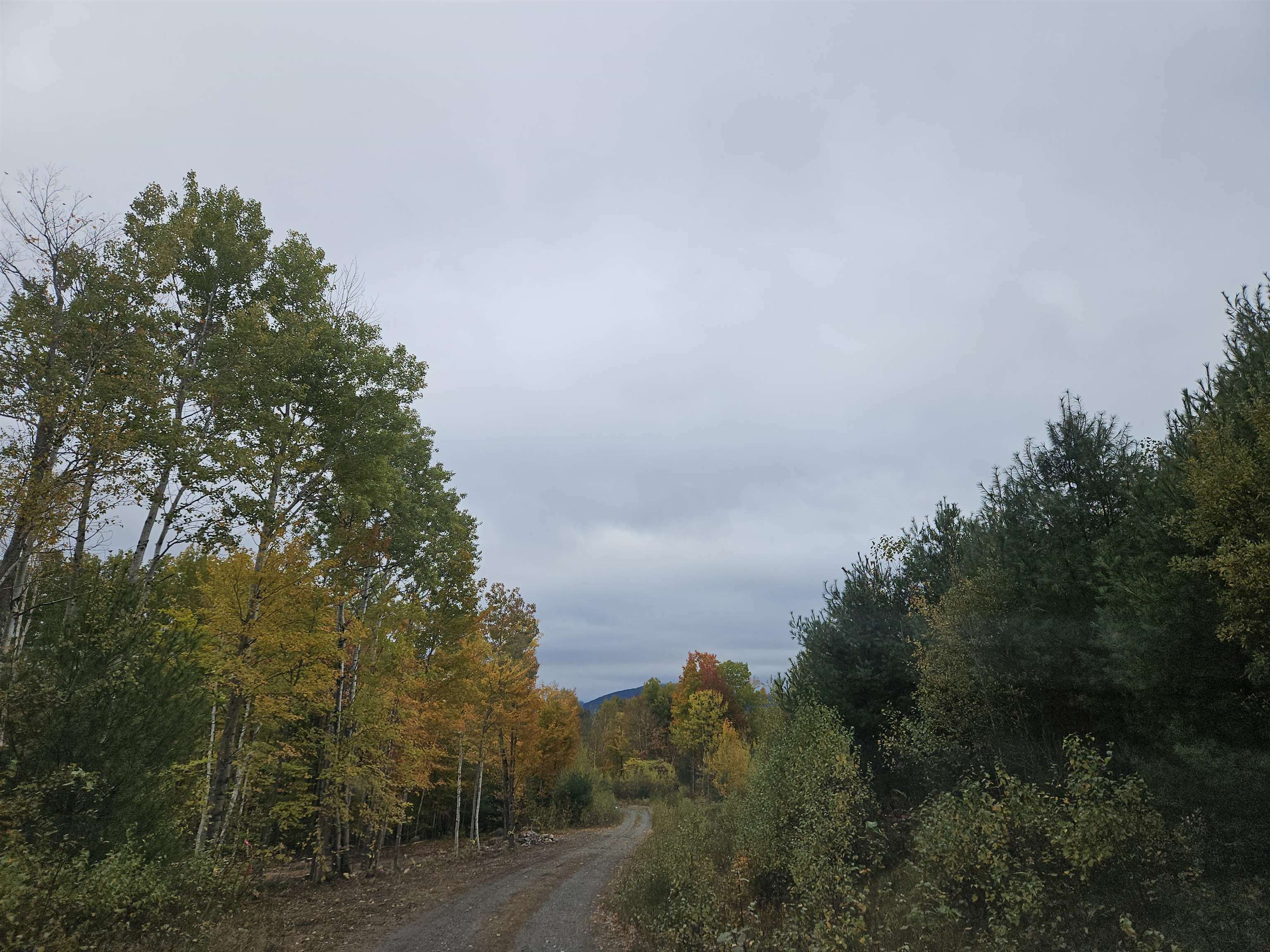 Property Photo:  Lot 15 Cannon View Drive  NH 03586 