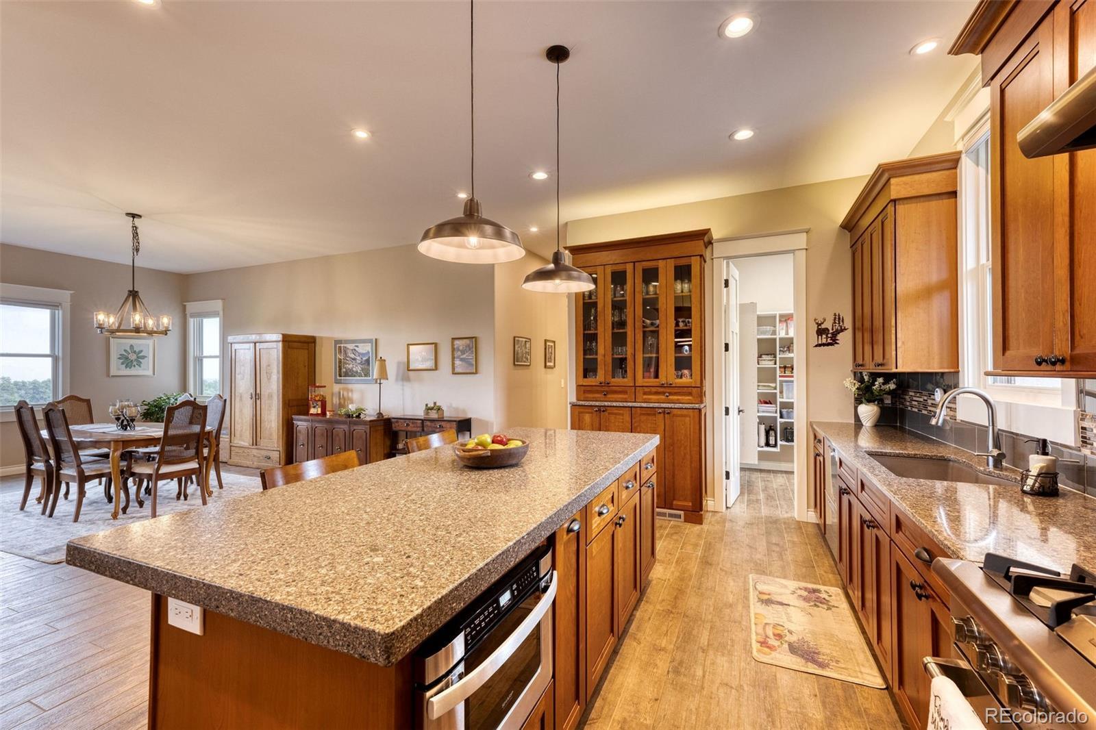 Property Photo:  5236 Bear Mountain Drive  CO 80439 