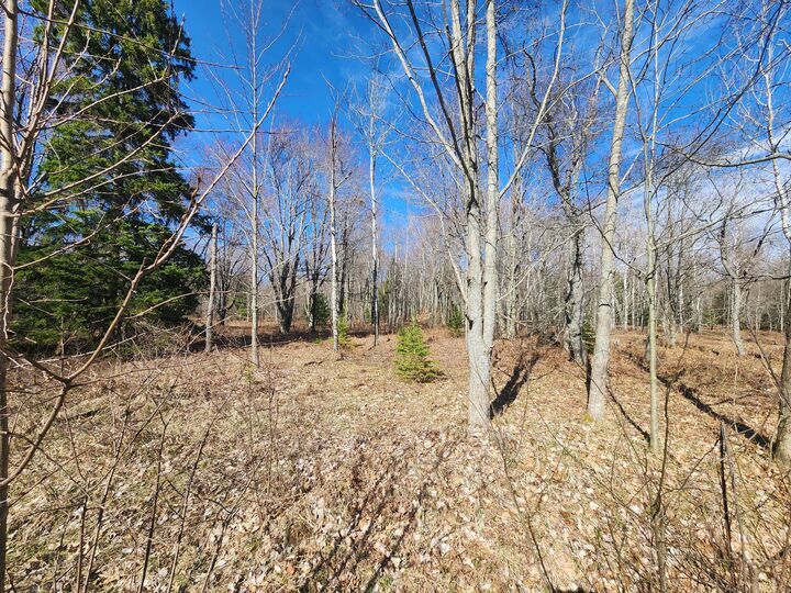 Lot 1829 Sandpiper Trail  Gaylord MI 49735 photo