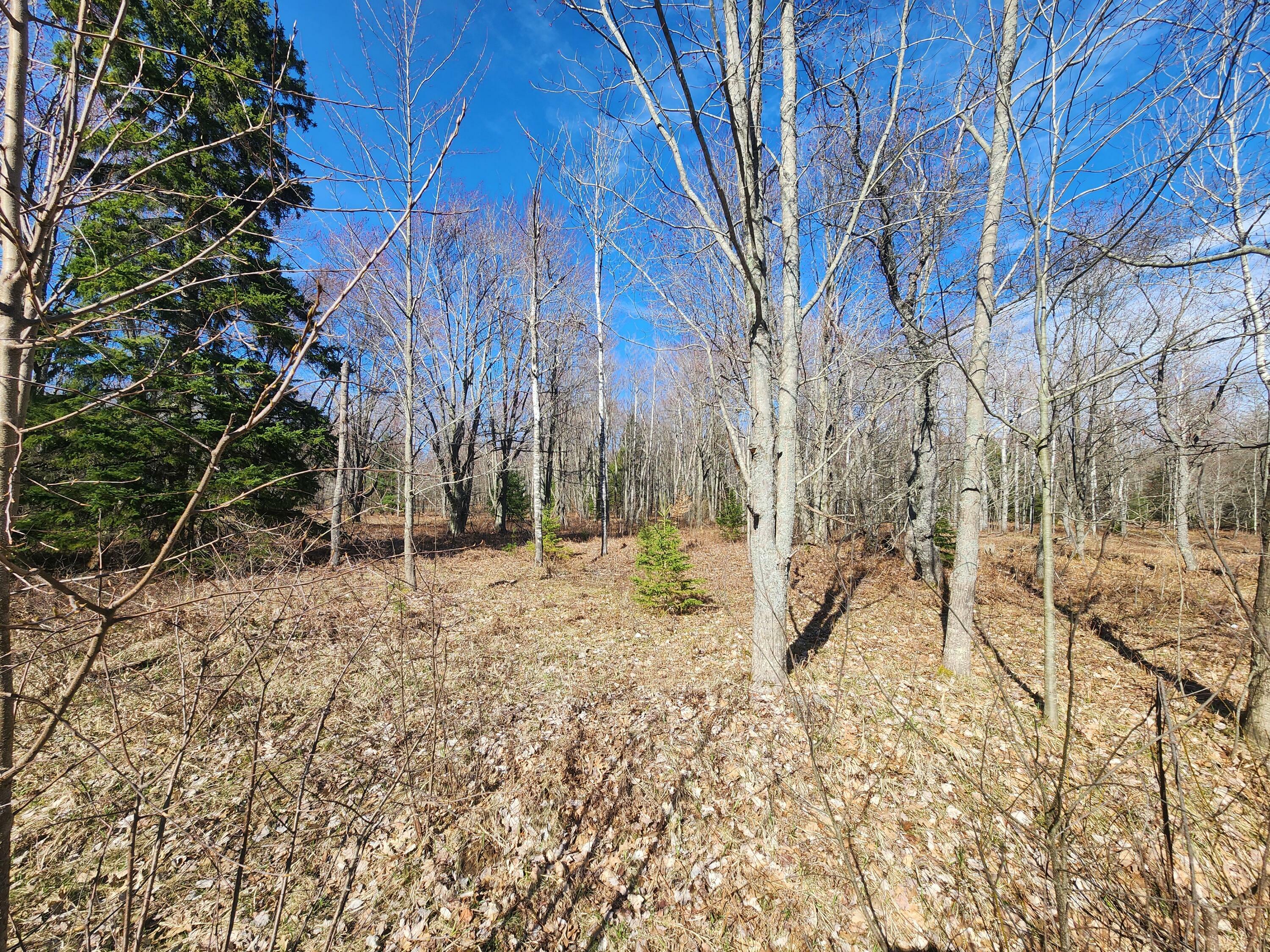 Property Photo:  Lot 1829 Sandpiper Trail  MI 49735 