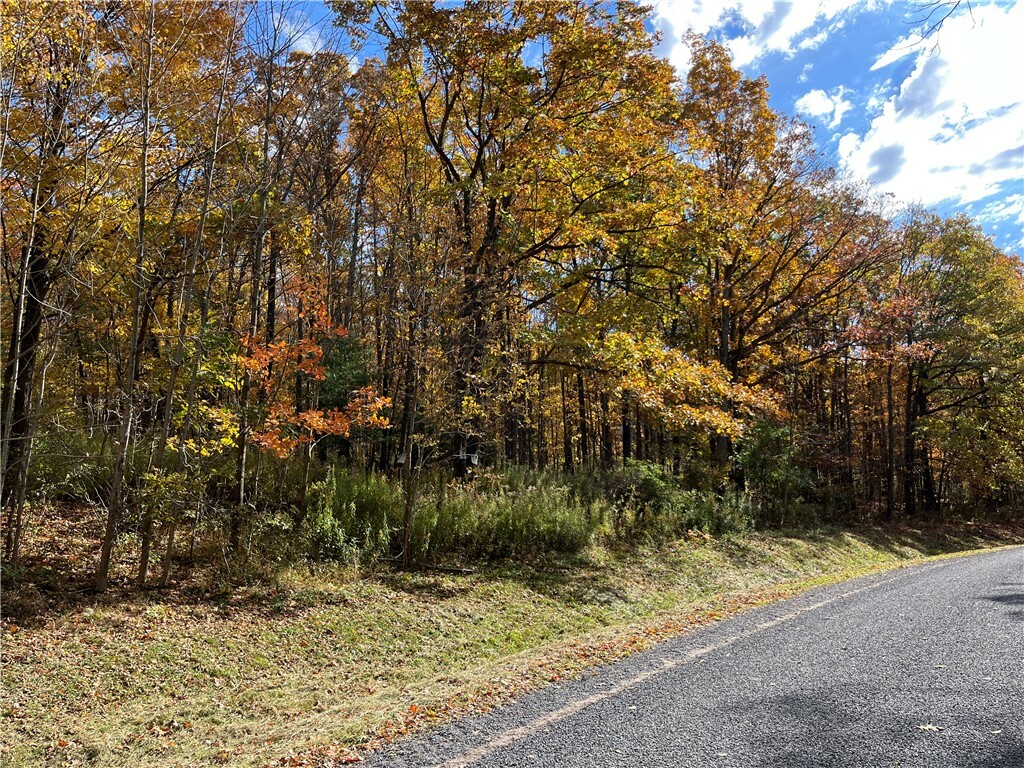 Property Photo:  Lot 26 Wicks Road  NY 14865 