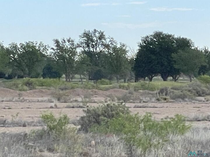 Property Photo:  West Of 26th North Of Main Street  NM 88210 