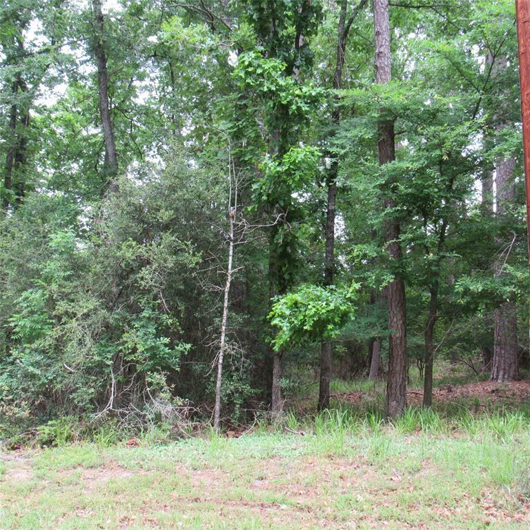 Property Photo:  Tbd Rolling Ridge  TX 75765 