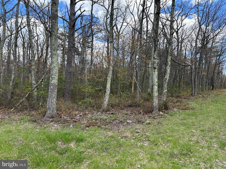 Property Photo: Lot 102 Bow Wood Trail VA 22602