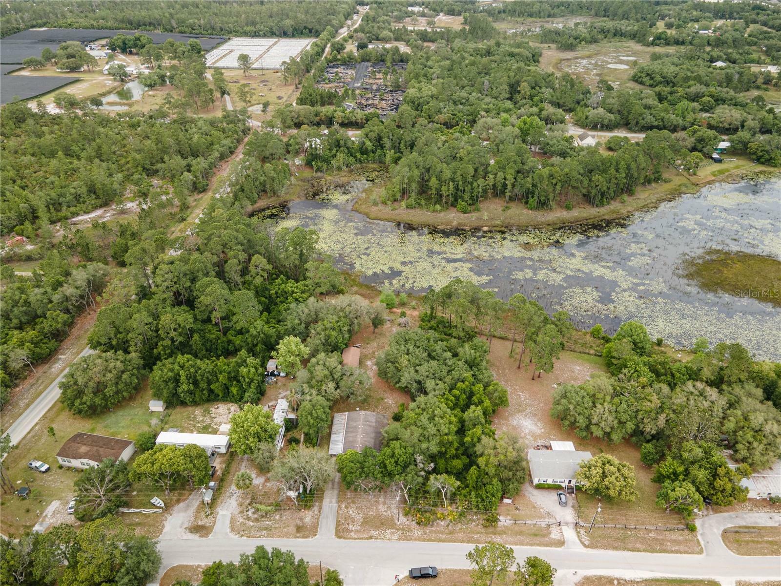 Property Photo:  Spruce Drive  FL 32736 