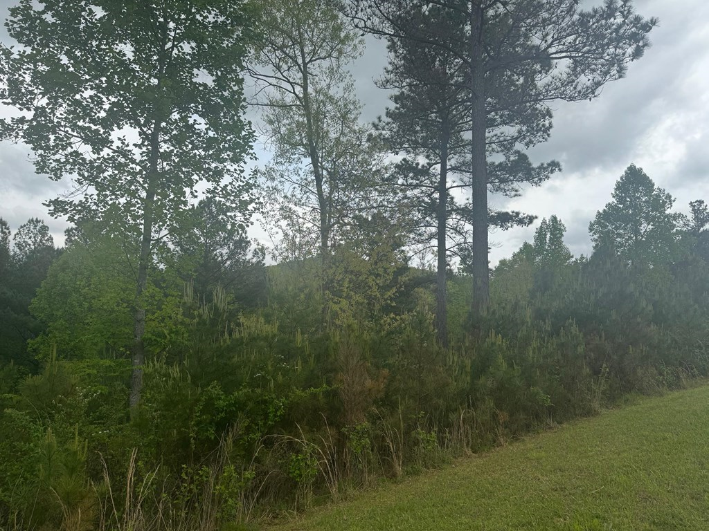 Property Photo:  Lot 231 Ridge Point Way  GA 30512 