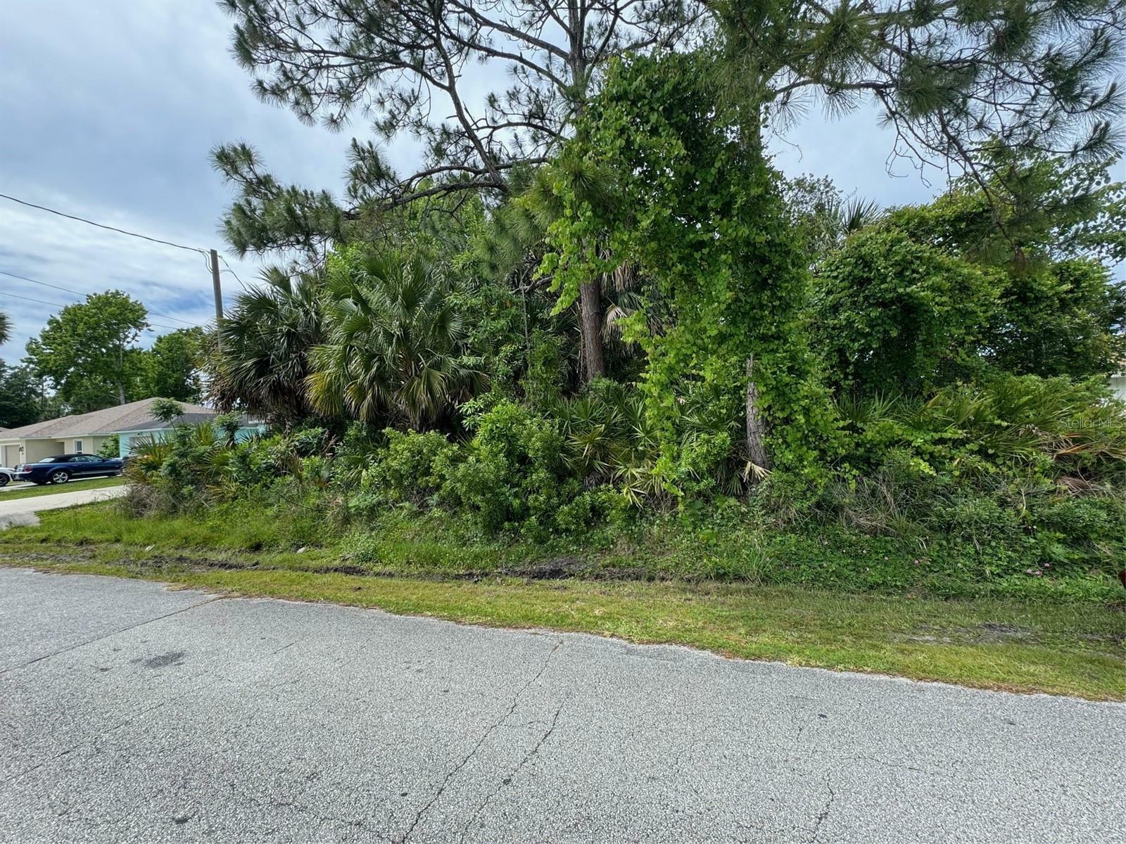 Property Photo:  33 Pine Grove Drive  FL 32164 