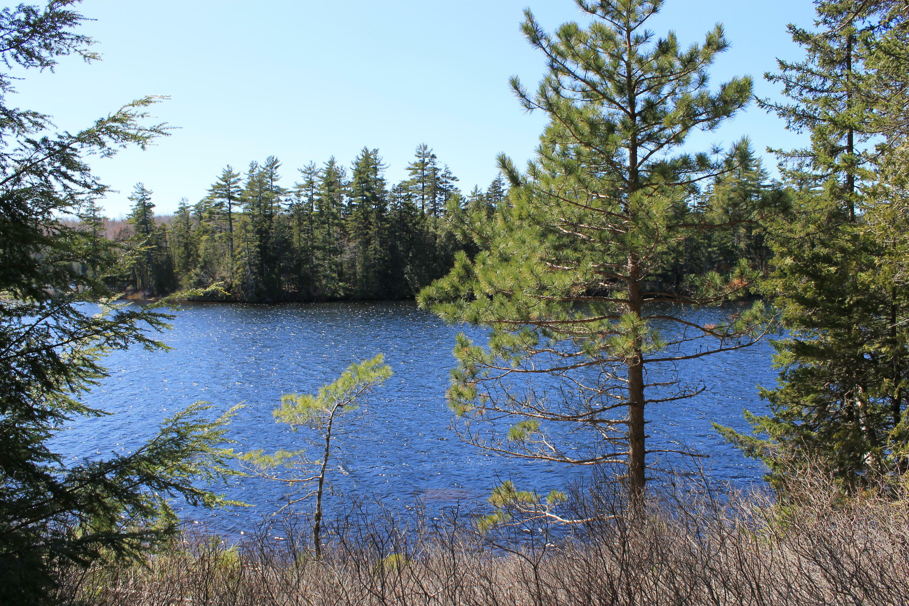 Property Photo:  250 Long Lake Road  ME 04654 