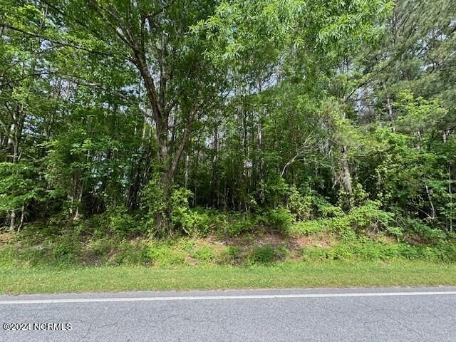 0 Willoughby Road  Ahoskie NC 27910 photo