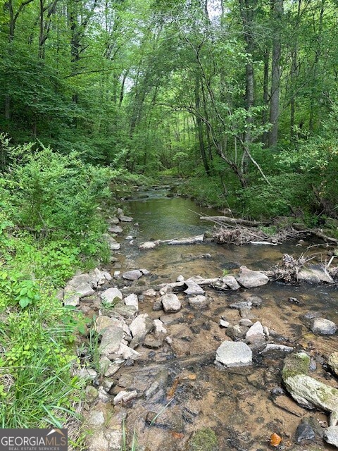 Property Photo: Lot 10 Clear Creek Preserve Way GA 30536