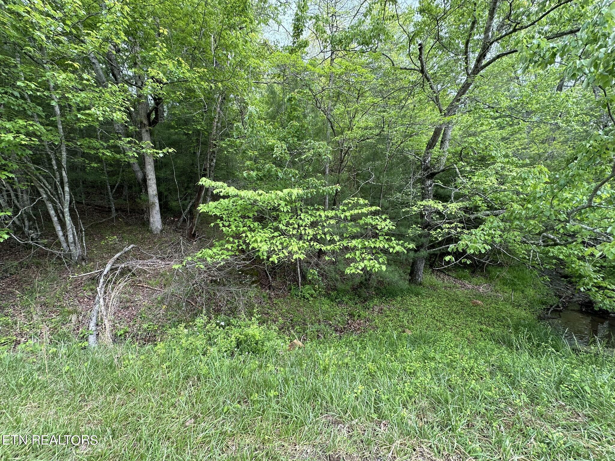 Property Photo:  112 Forest Hill Drive  TN 38558 