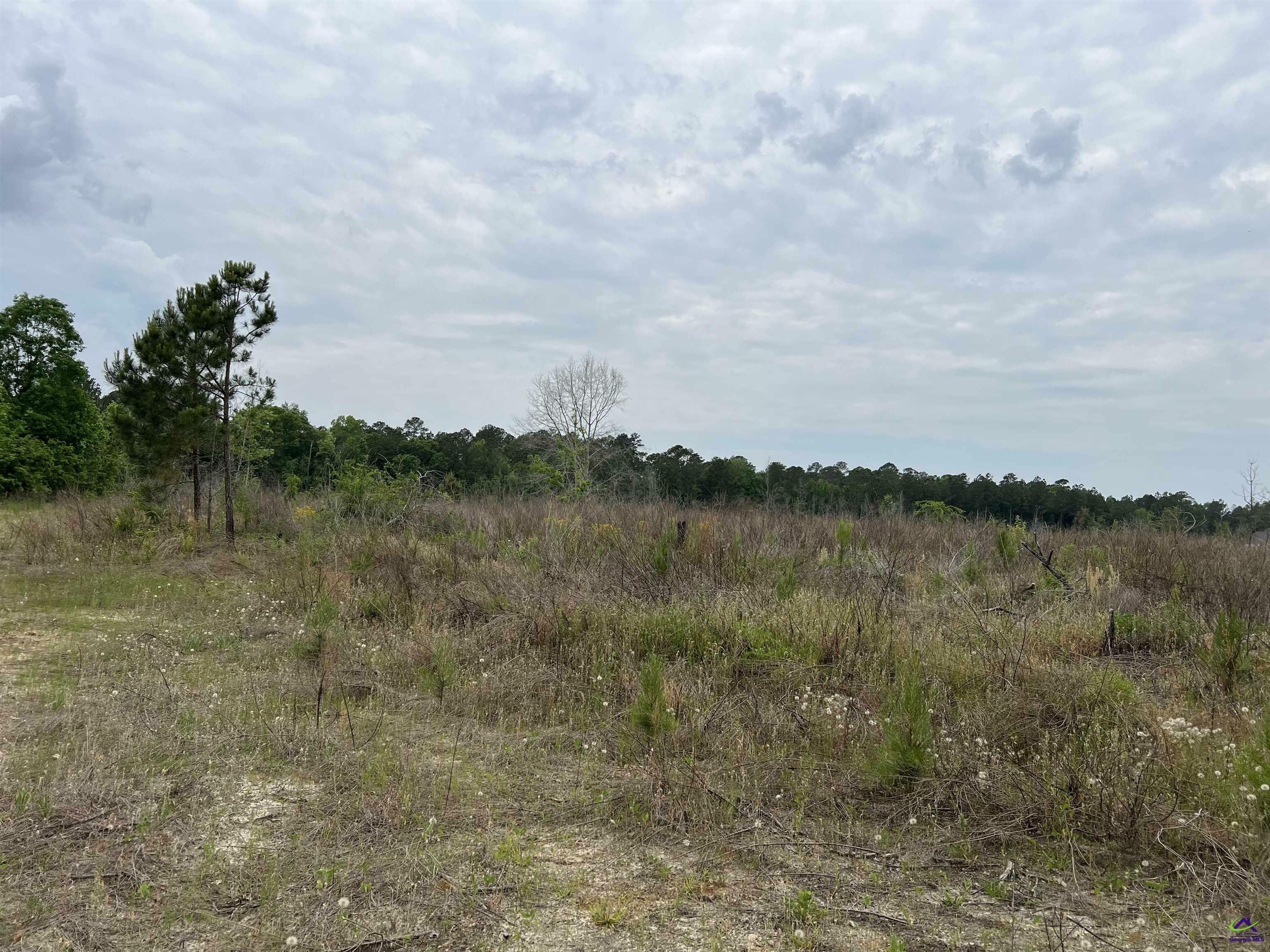 Property Photo:  Lot 3 Longstreet Church Road  GA 31014 