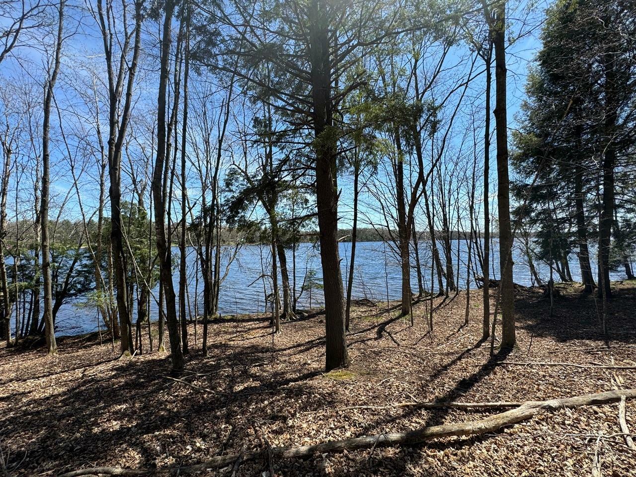 Property Photo:  Lot 1 Black Forest Rd  WI 54557 