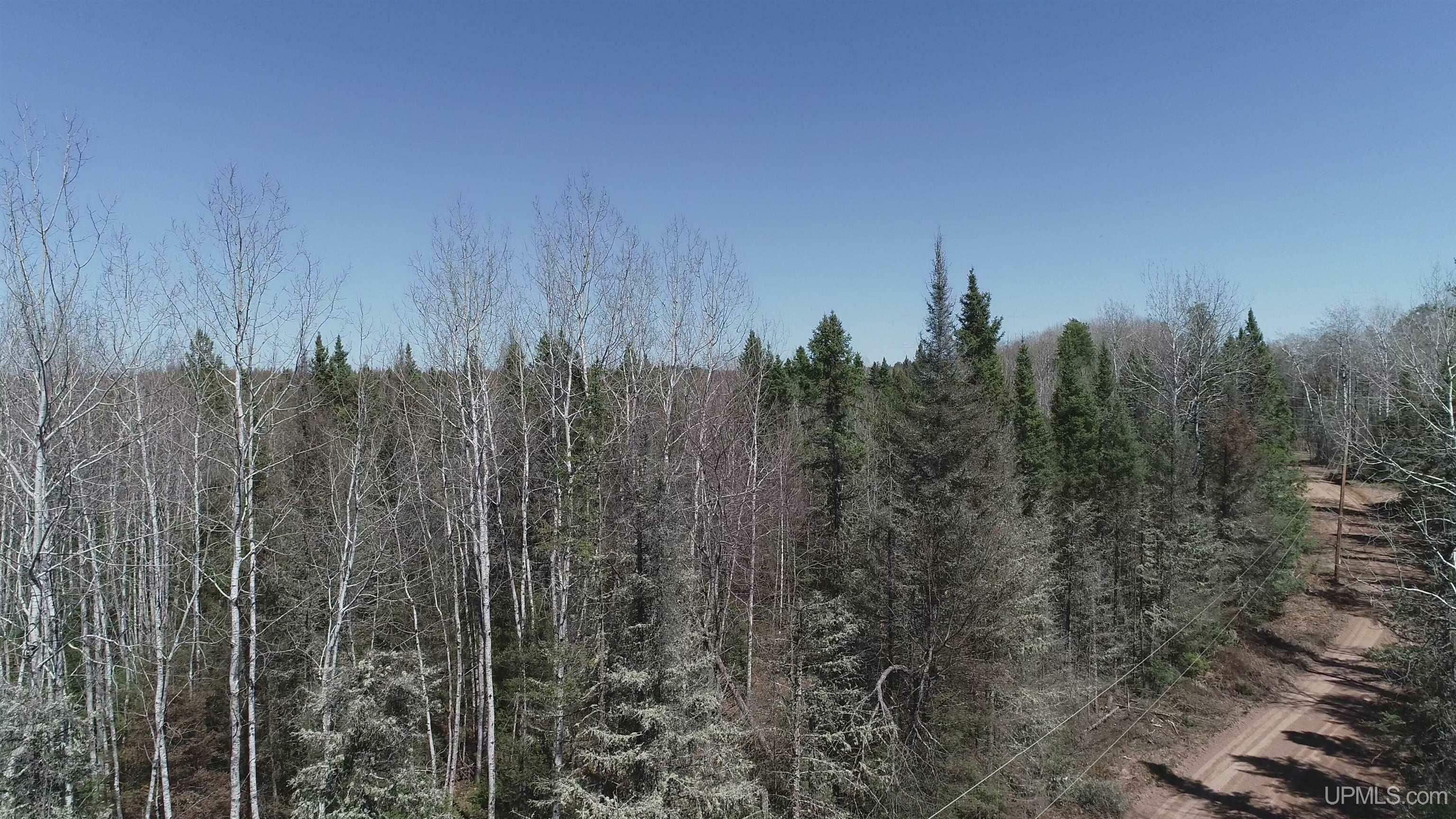 Property Photo:  492 Acres Helen Lake  MI 49879 