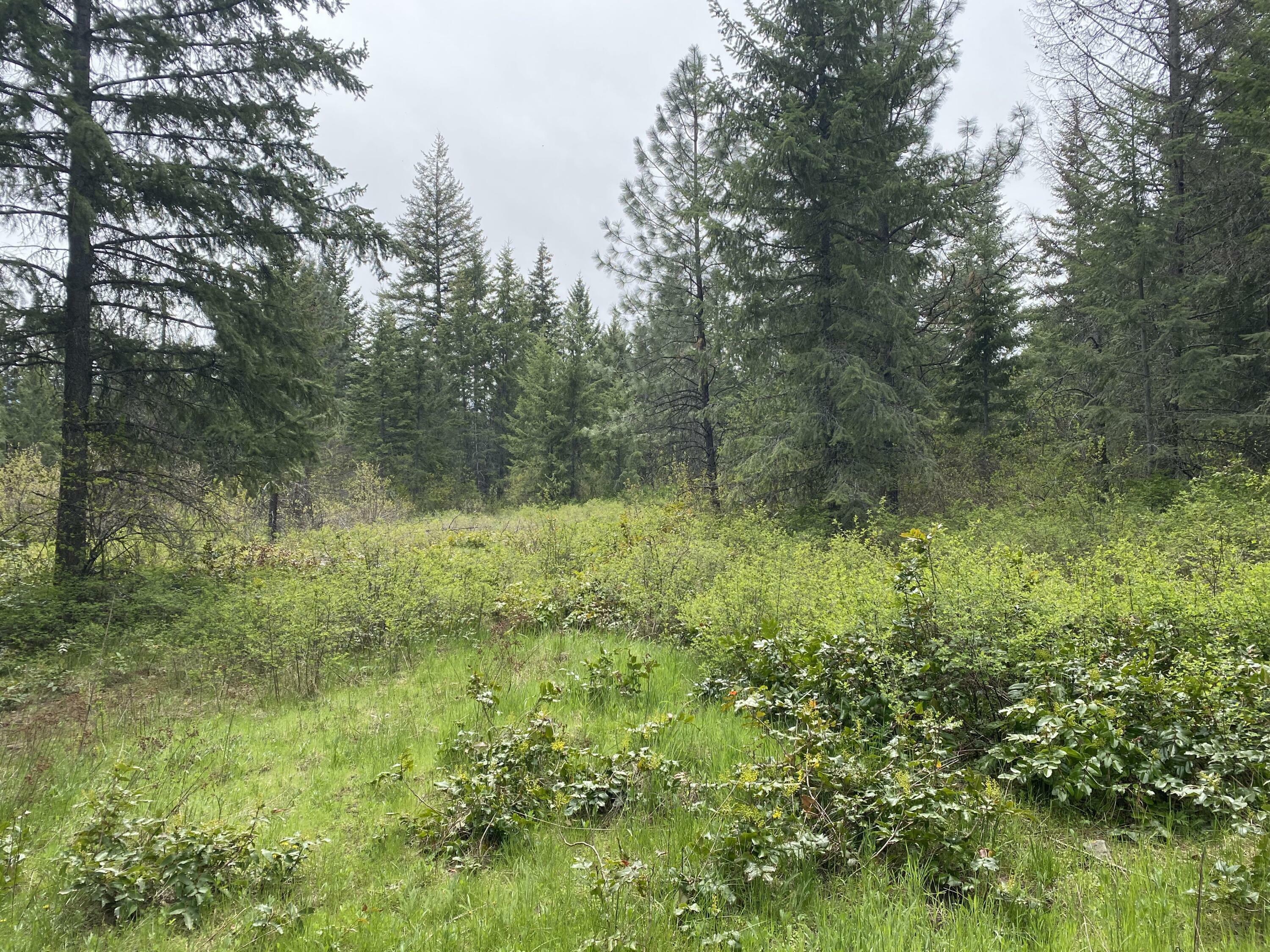 Property Photo:  345X Lael Road  WA 99141 