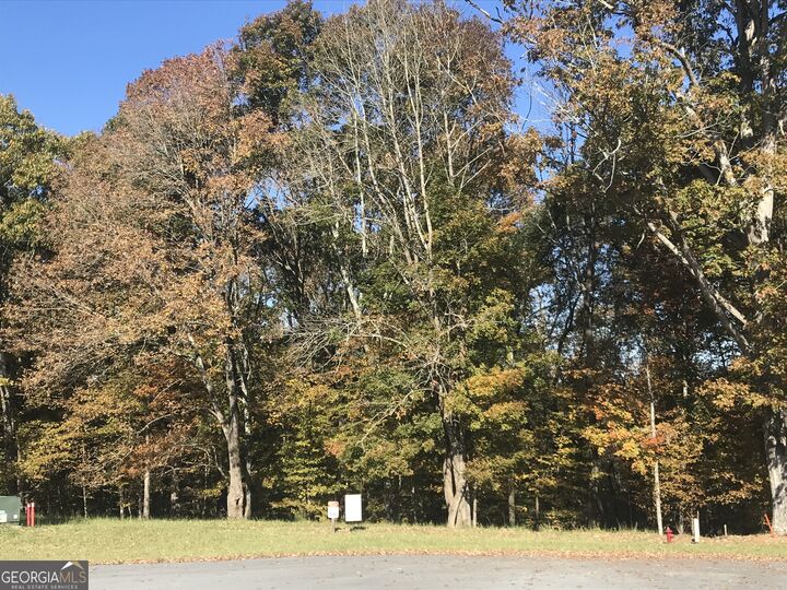 1120 Askew Trail  Greensboro GA 30642 photo