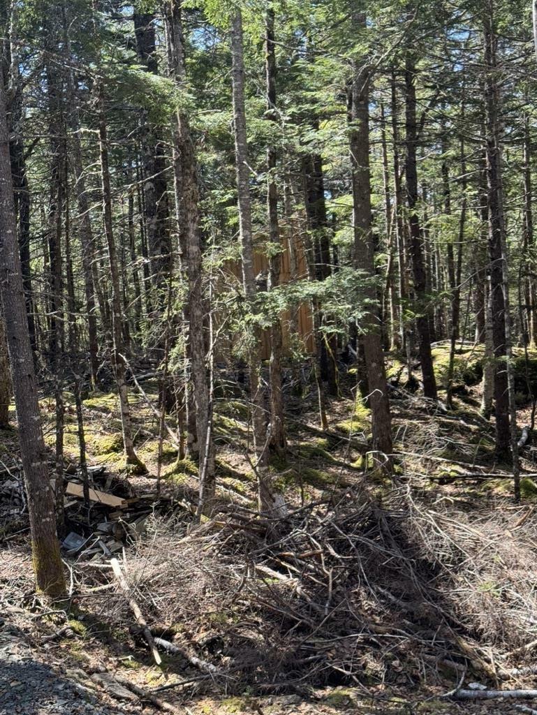 Property Photo:  Lot 66 Summit Ridge Road  NS B0N 2T0 