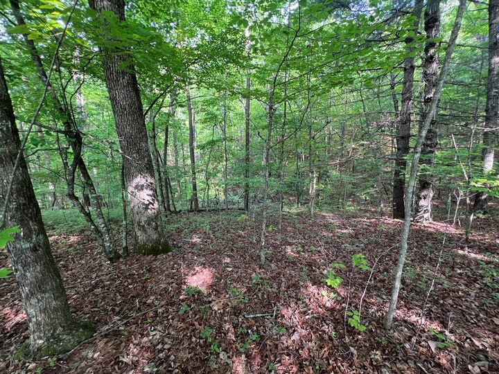 Property Photo: Lot 1 Weece Mountain Est NC 28906