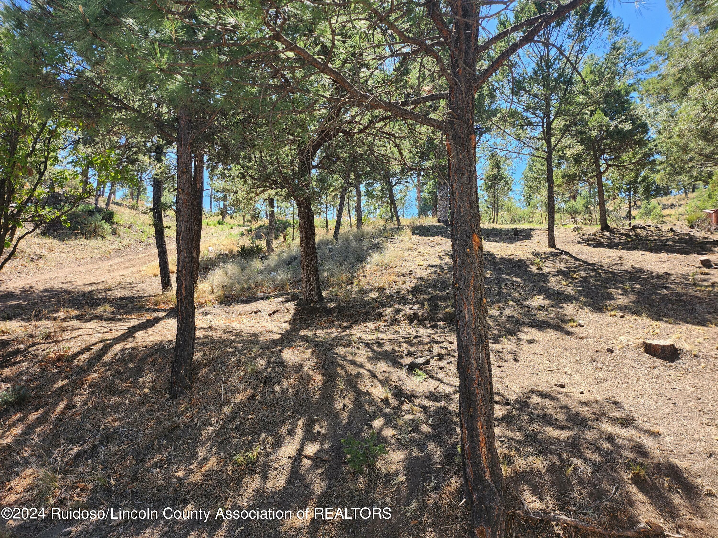 104 Catron Road  Ruidoso NM 88345 photo