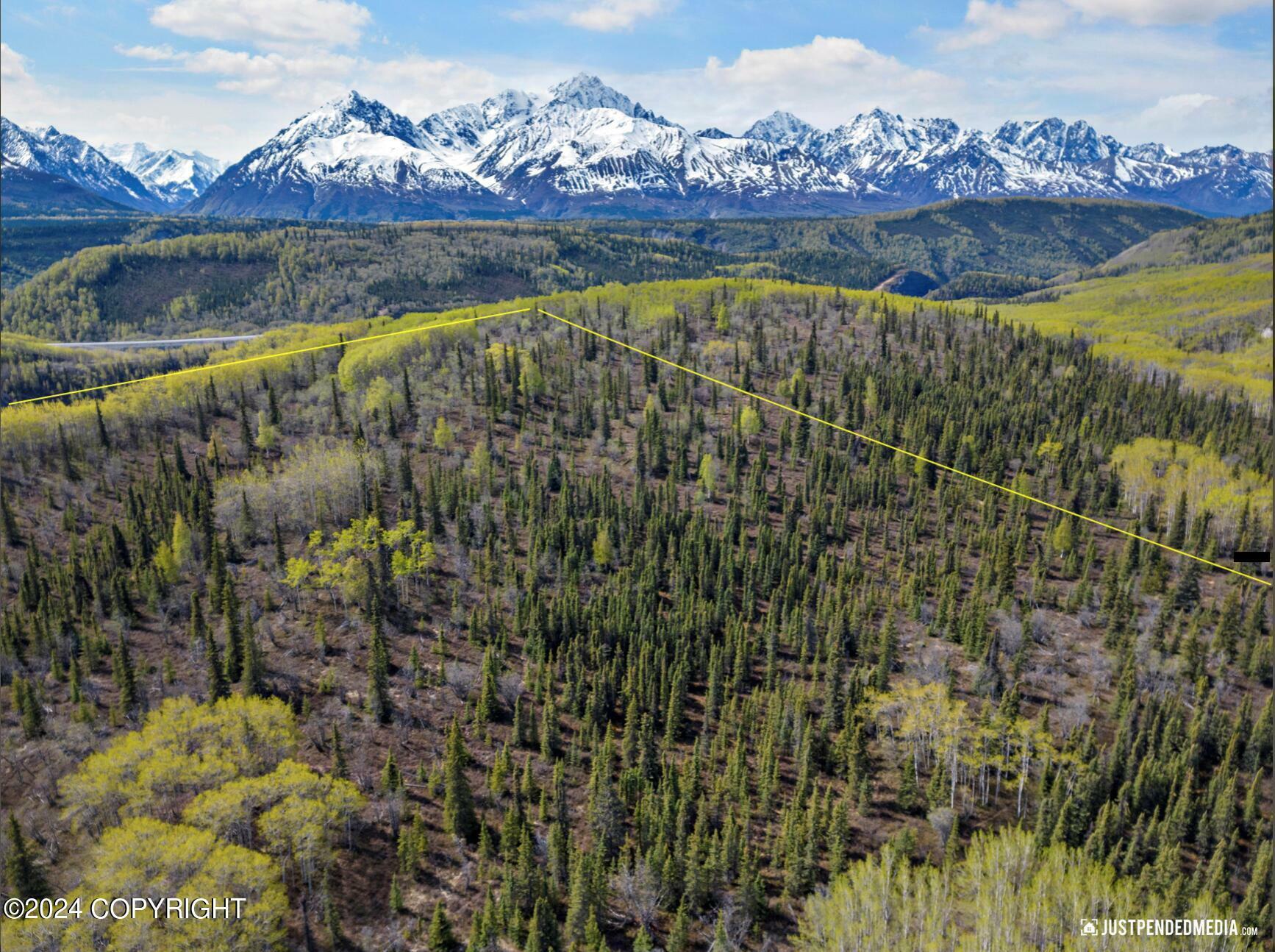 Property Photo:  B005 Pinochle Creek Road  AK 99674 