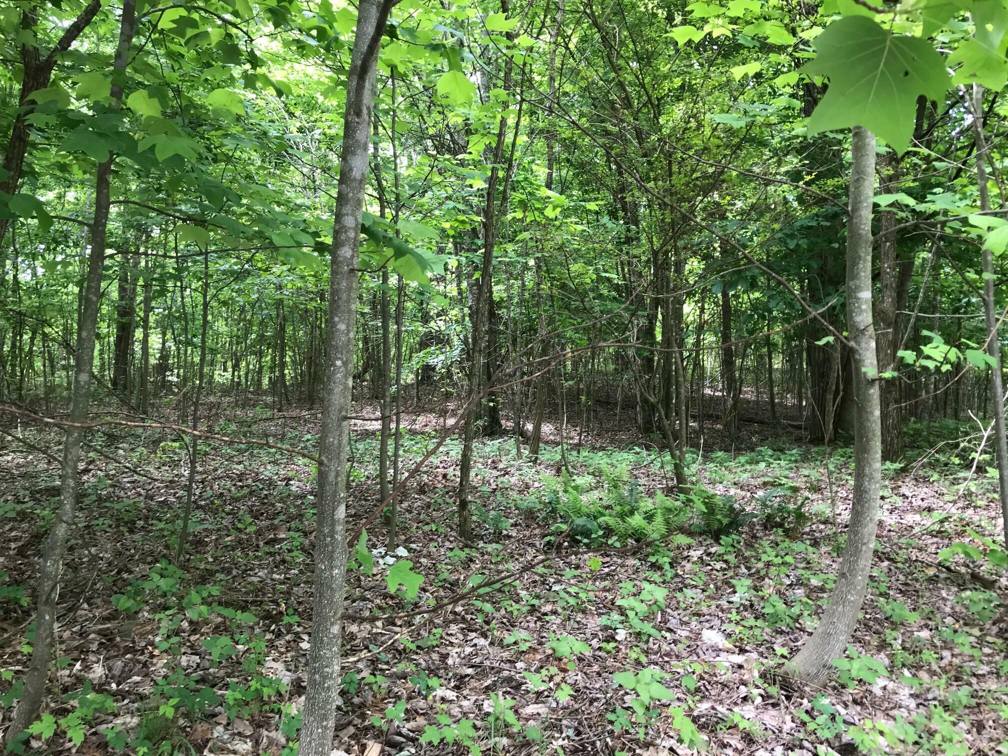 Property Photo:  Lot 512 Wilderness Way  TN 37327 