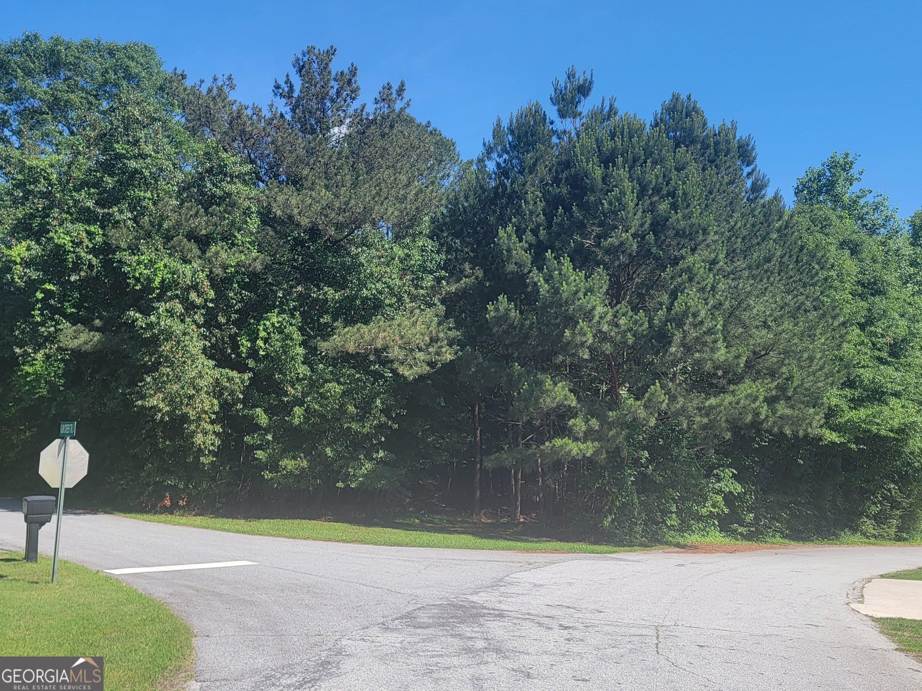 Property Photo:  120 Gum Creek Trail  GA 30054 