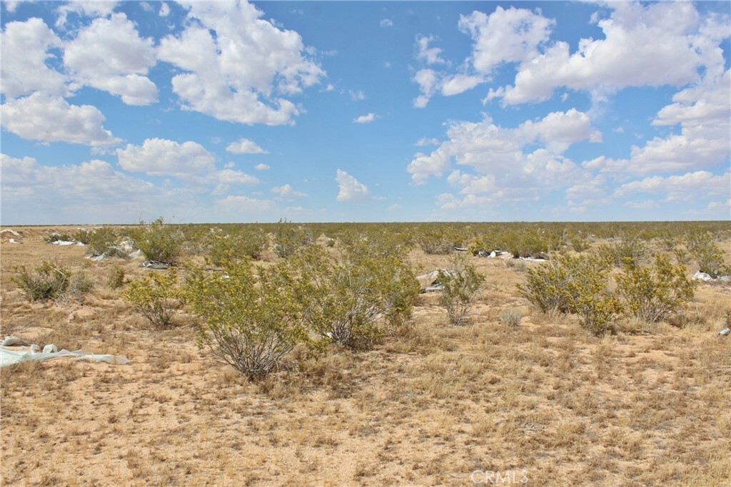 Property Photo: 0 Near Palmetto Road CA 92301