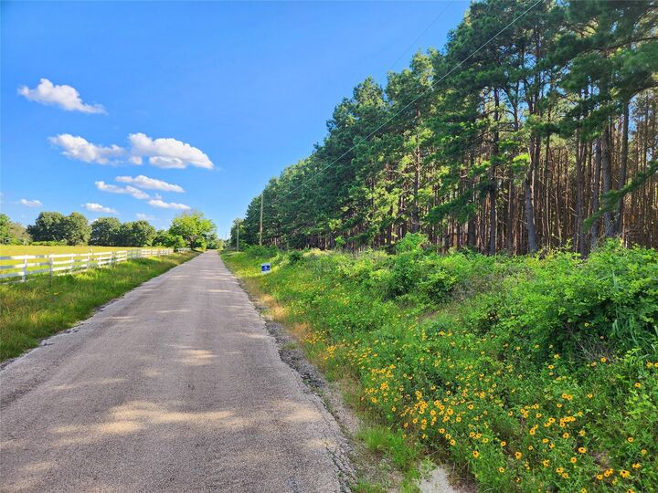 Property Photo: Lot 459 Cr-4712 TX 75770