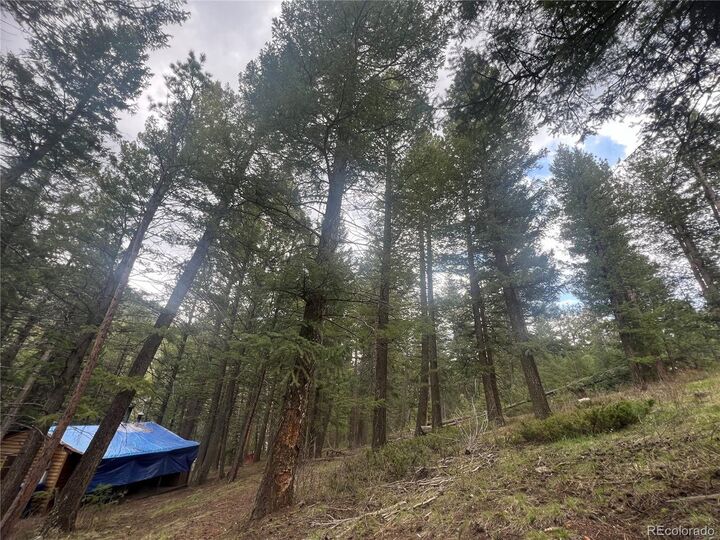 Property Photo: 5525 S Twin Spruce Dr CO 80439