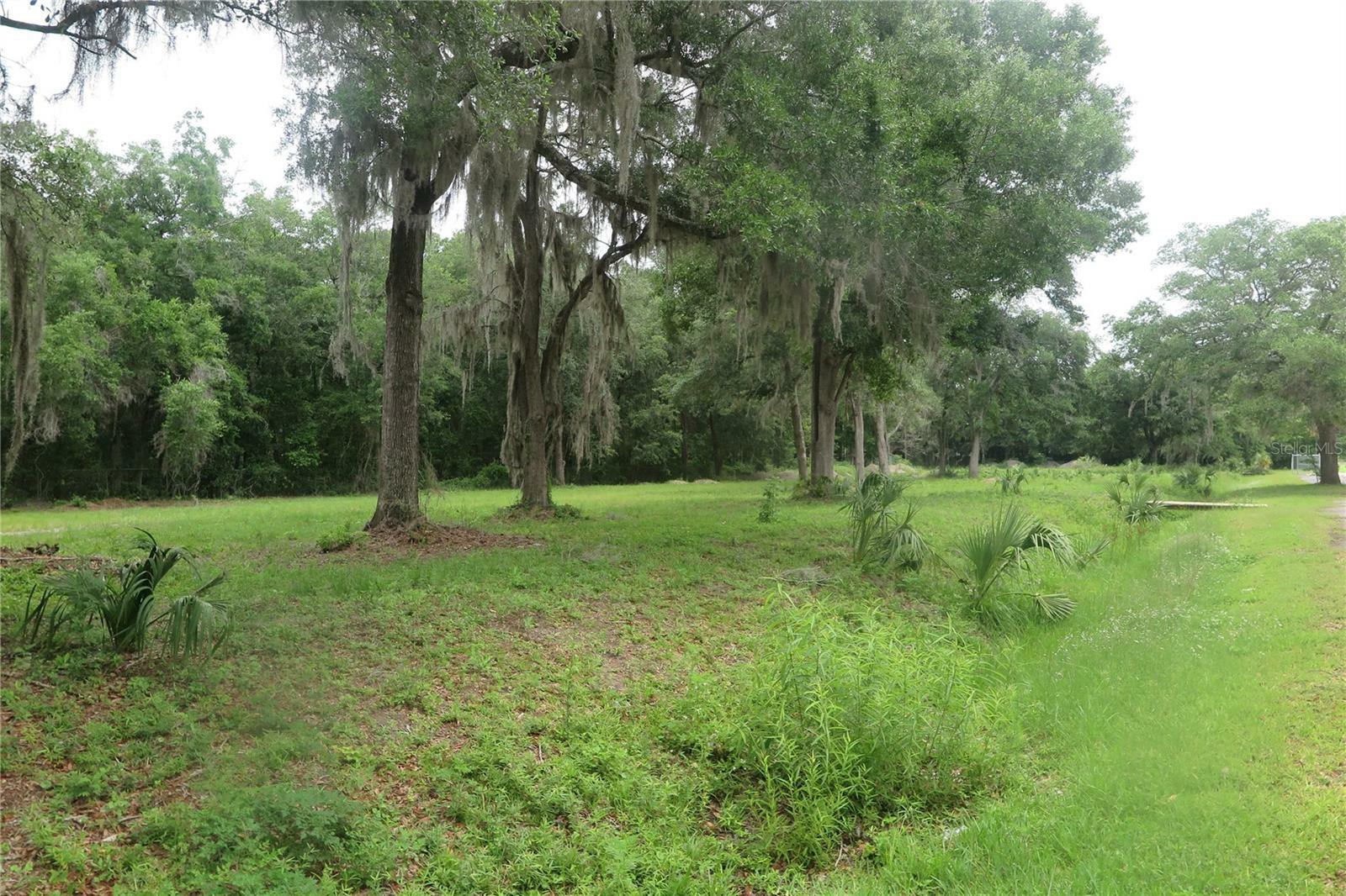 Property Photo:  Tbd NW 2nd Street  FL 32609 