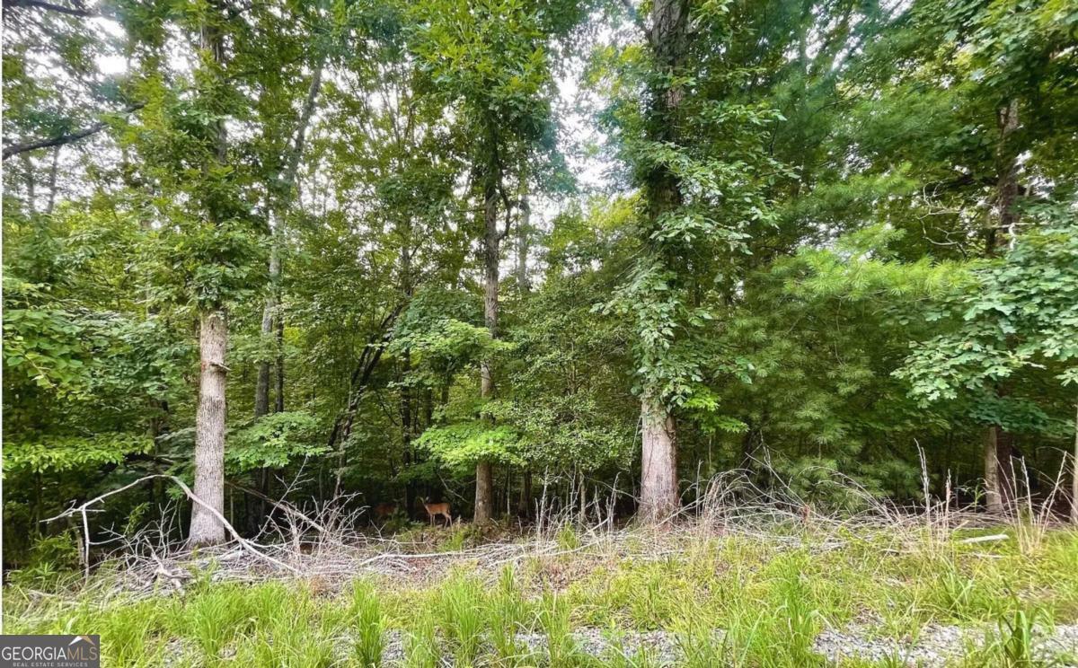 Property Photo:  Lot 1185 Maize Court  GA 30540 