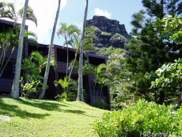 Property Photo:  51636 Kamehameha Highway 1/111  HI 96730 