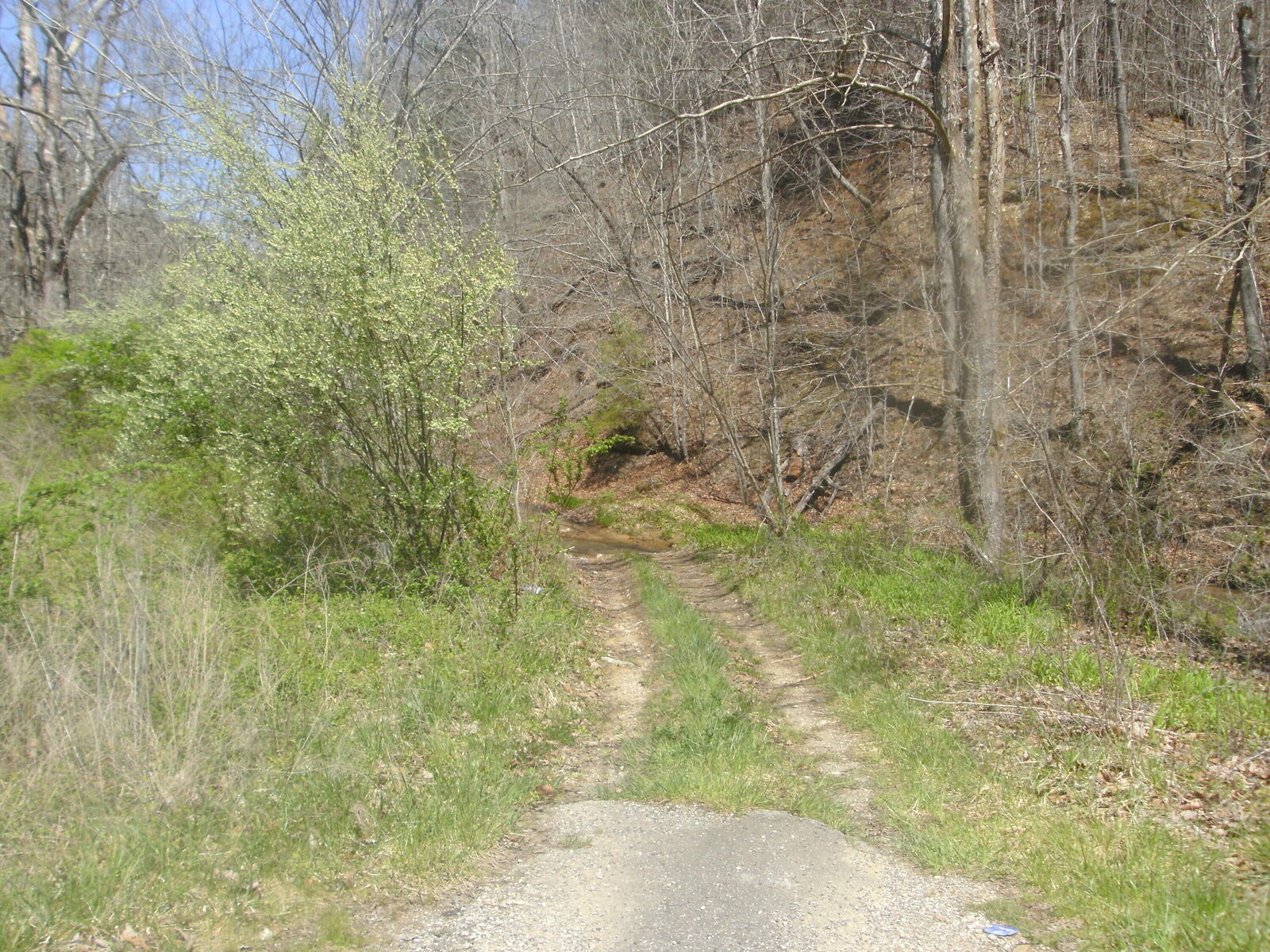 Photo de la propriété: 999 Hwy 378 KY 41385