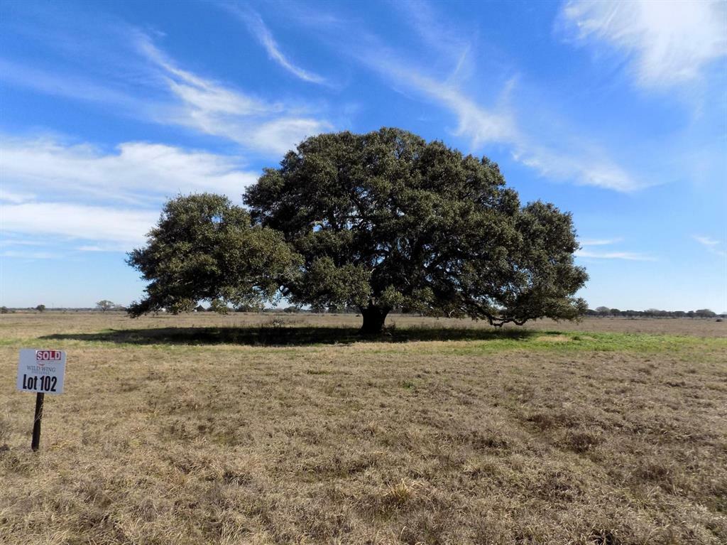 Property Photo:  Lot 102/ 0 Pintail Lane  TX 78934 