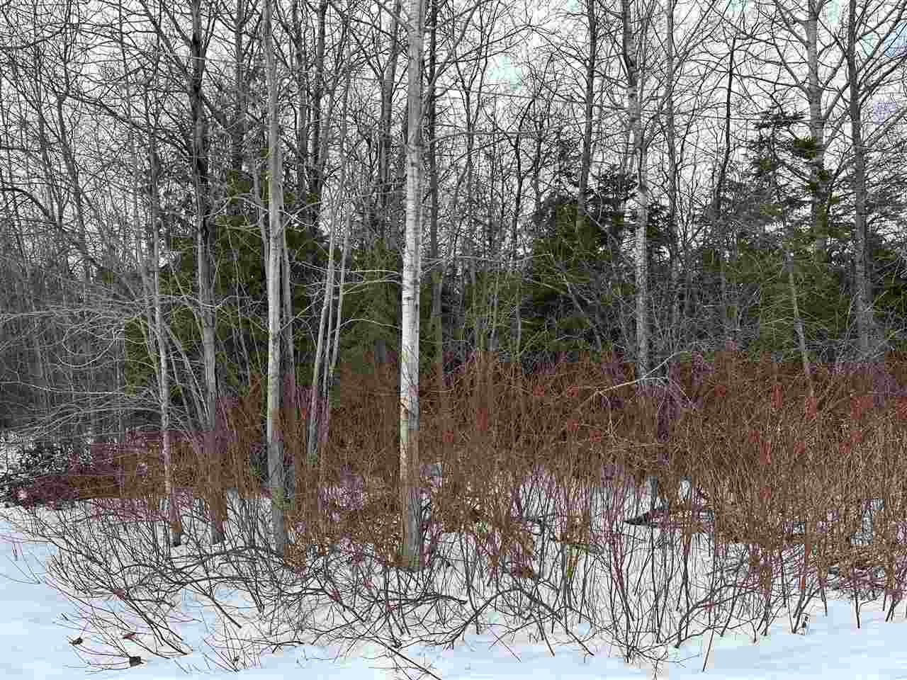 Property Photo: 10623 Steves MI 49701