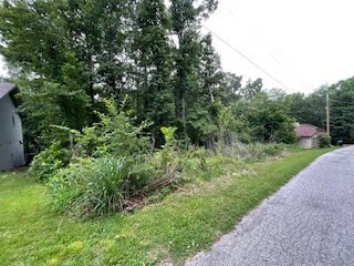 Property Photo:  Lots 8 & 9 E Ciemny Lane  AR 72715 