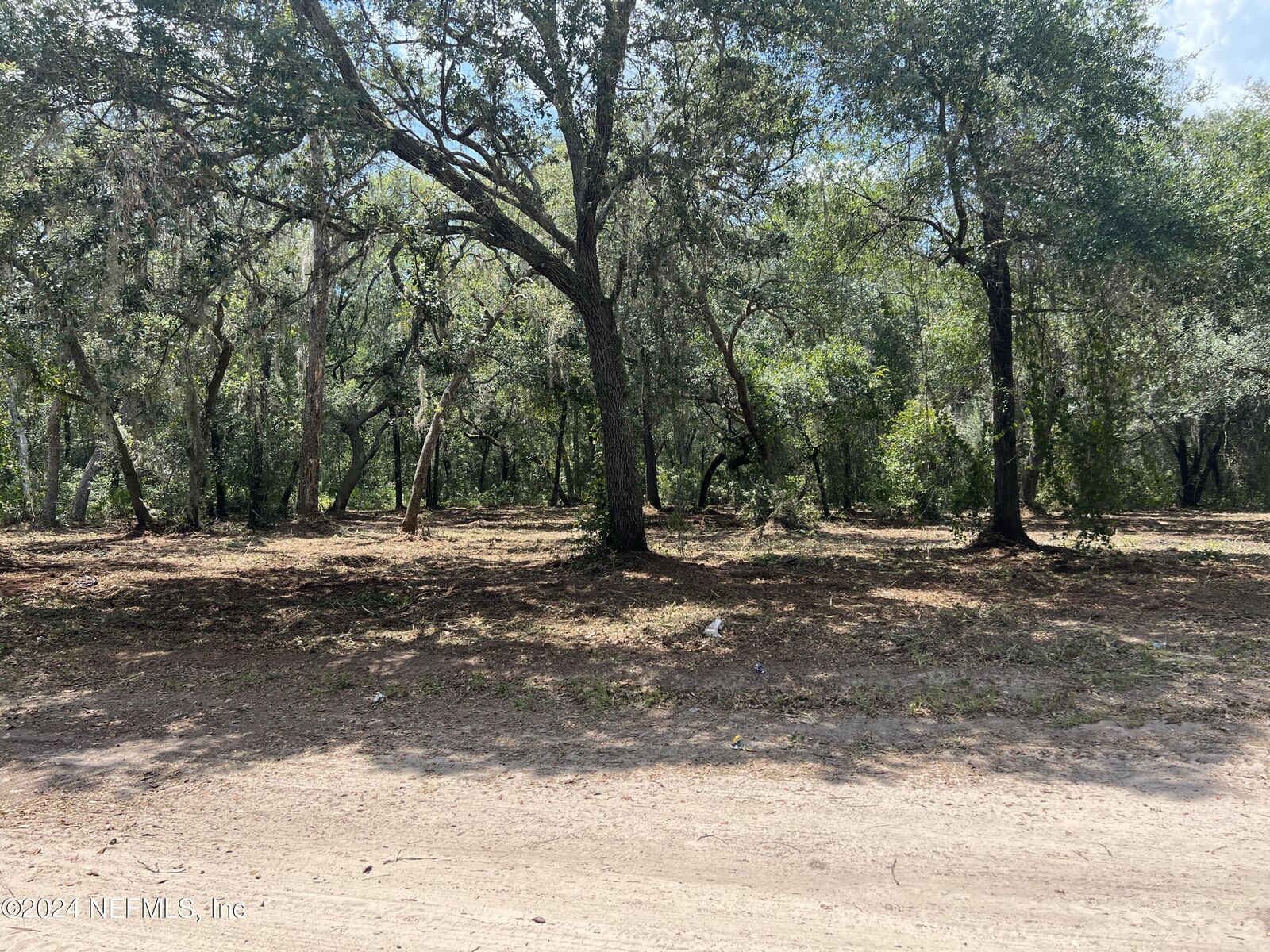 Property Photo:  5552 Darwood Street  FL 32666 