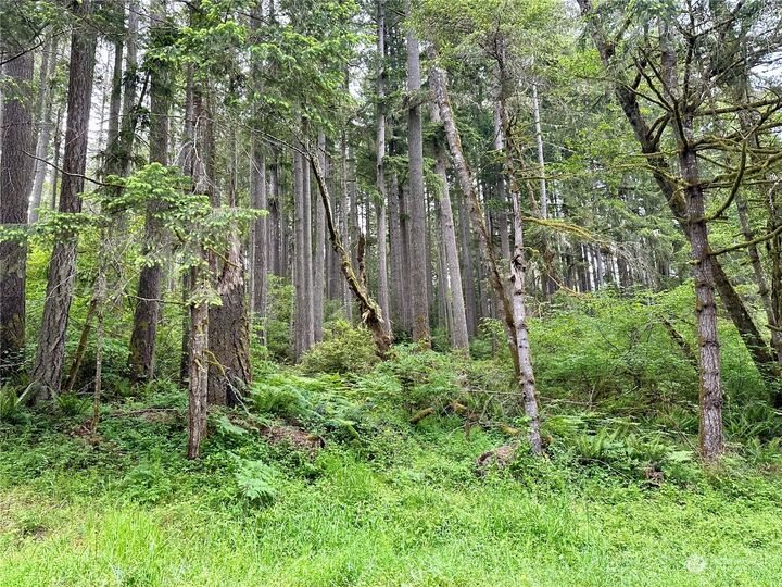 Property Photo:  12613  Camus Road  WA 98303 