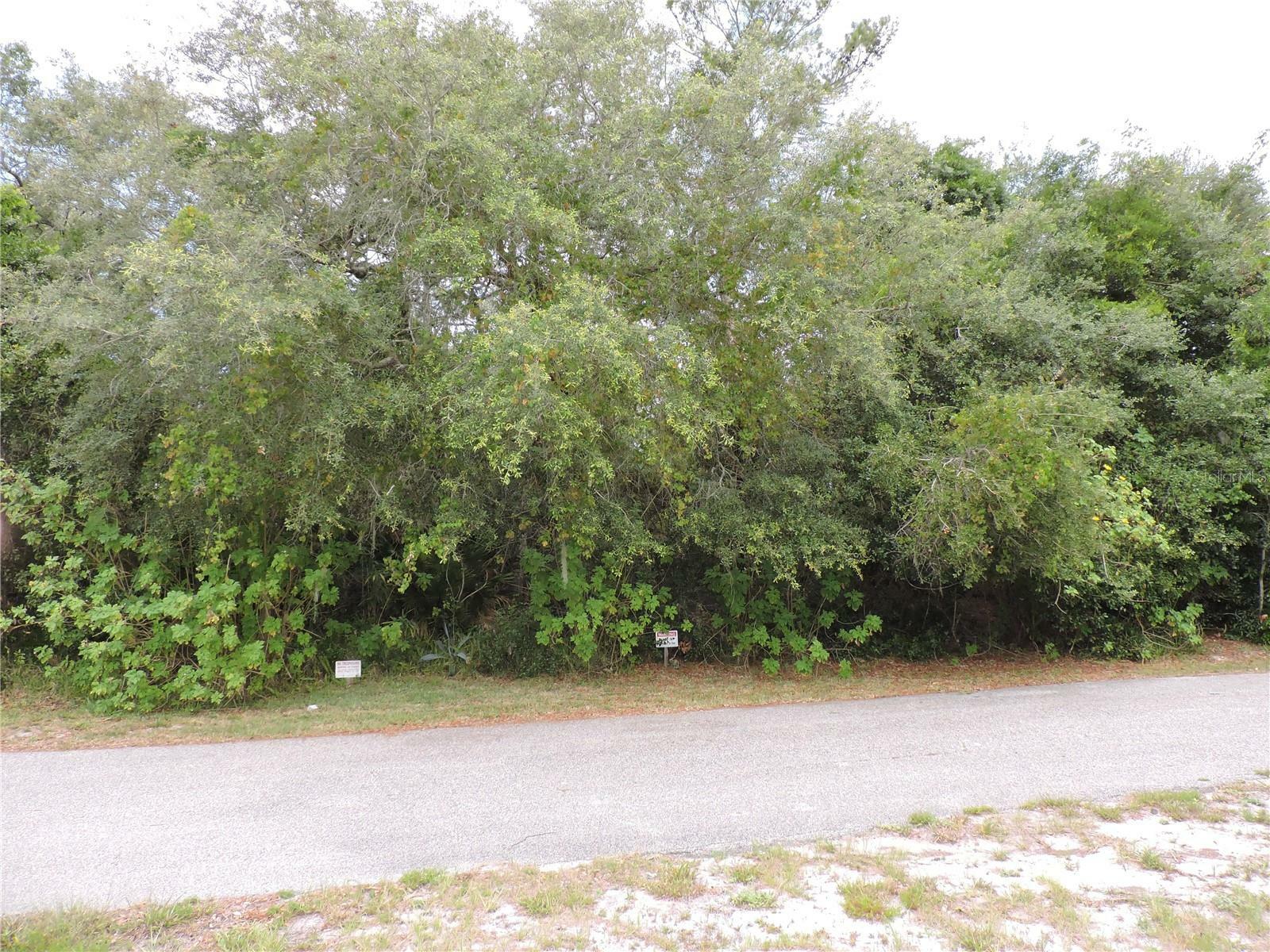 Property Photo:  960 Peru Court  FL 32738 