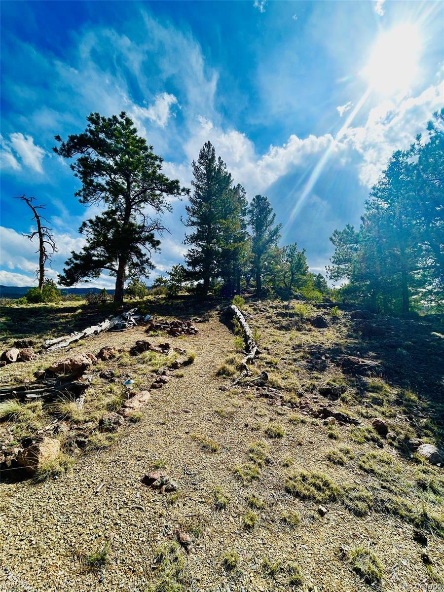 Property Photo:  4641 Ranch Road  CO 80449 