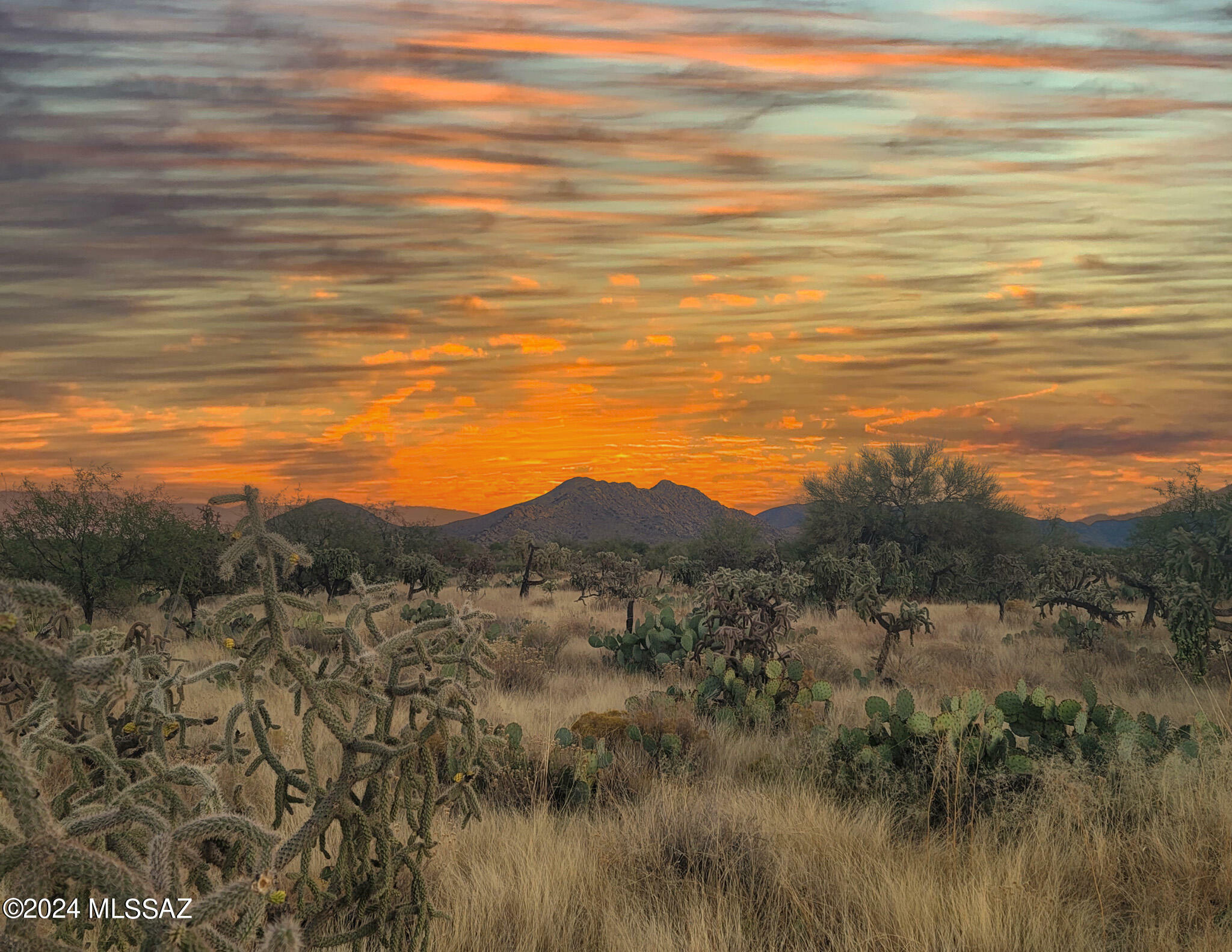 Property Photo:  14861 S Garvey Road 25  AZ 85736 