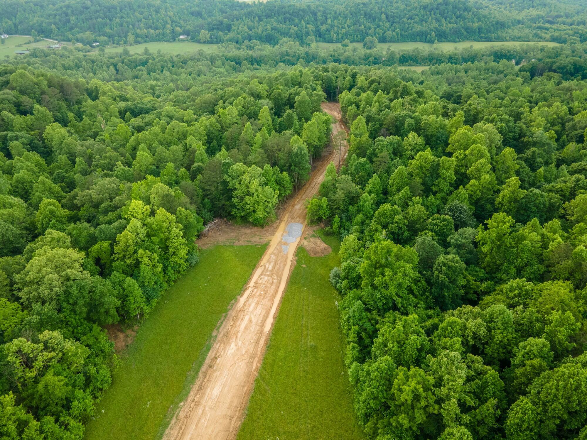 Property Photo:  Lot 136 Mt Morgan Road  KY 40769 