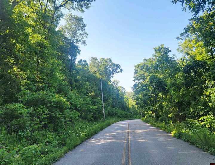 277 Mc 7031  Flippin AR 72634 photo