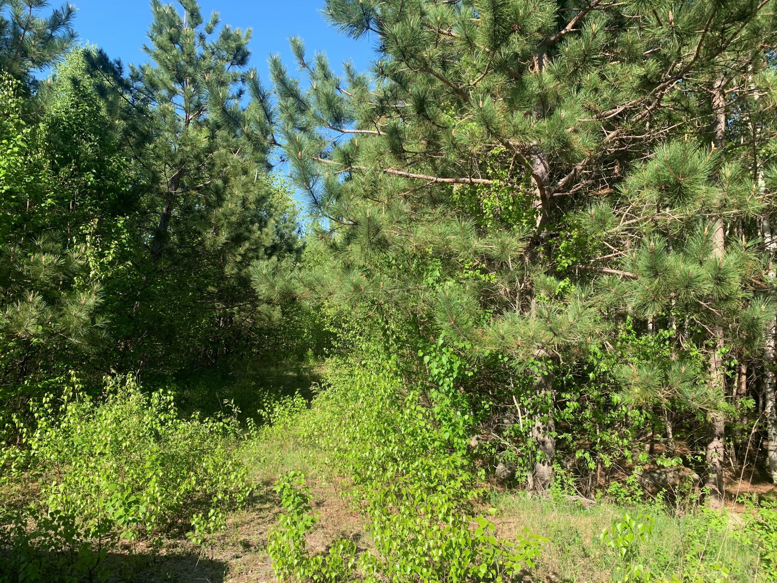 Property Photo:  Lot 24 Grand View Drive  ME 04429 